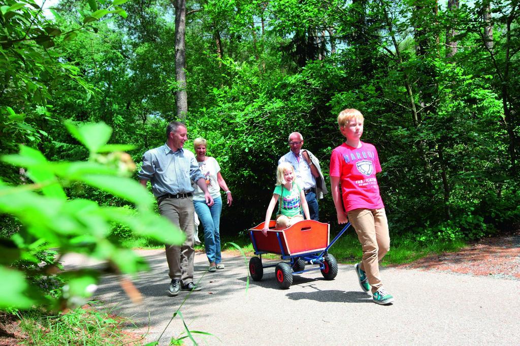 Natuurpark De Witte Bergen Rouveen Room photo